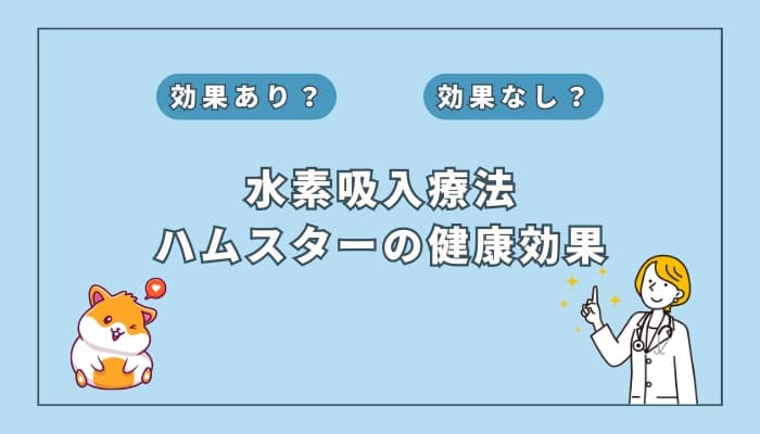 【獣医監修】水素吸入療法はハムスターの健康に効果ある?