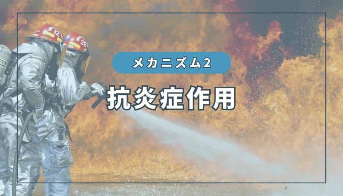水素のメカニズム②:抗炎症作用
