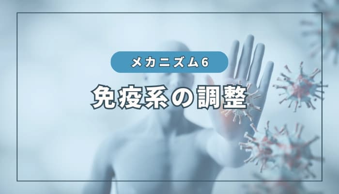 水素のメカニズム⑥:免疫系の調整作用