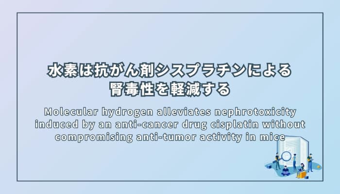 水素はマウスにおいて抗がん剤シスプラチンによる腎毒性を軽減する