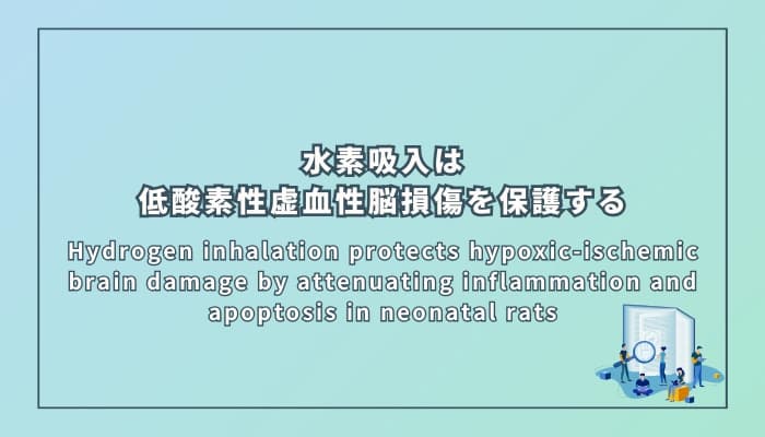 水素吸入は低酸素性虚血性脳損傷を保護する