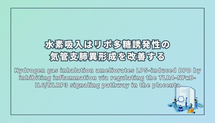水素吸入はリポ多糖誘発性の気管支肺異形成を改善する
