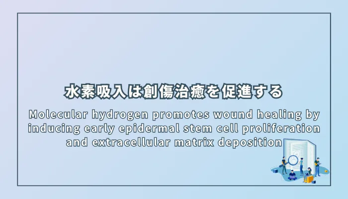 Molecular hydrogen promotes wound healing by inducing early epidermal stem cell proliferation and extracellular matrix deposition(水素分子は表皮幹細胞の早期増殖と細胞外マトリックス沈着を誘導することで創傷治癒を促進する)