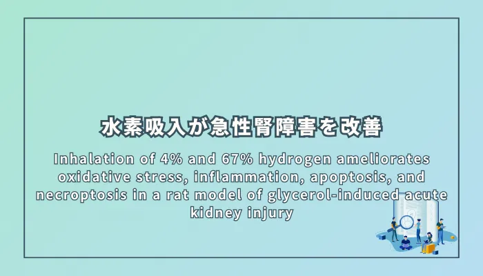 Inhalation of 4% and 67% hydrogen ameliorates oxidative stress, inflammation, apoptosis, and necroptosis in a rat model of glycerol-induced acute kidney injury(4%および67%水素吸入がグリセロール誘発性急性腎障害における酸化ストレス、炎症、アポトーシス、壊死性細胞死を改善)