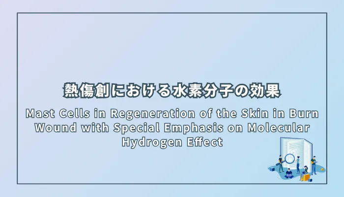 Mast Cells in Regeneration of the Skin in Burn Wound with Special Emphasis on Molecular Hydrogen Effect(熱傷創におけるマスト細胞の役割と水素分子の効果に関する検討)