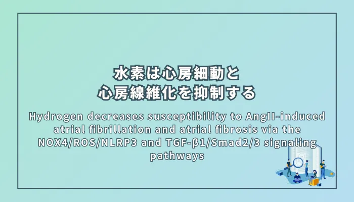 Hydrogen decreases susceptibility to AngII-induced atrial fibrillation and atrial fibrosis via the NOX4/ROS/NLRP3 and TGF-β1/Smad2/3 signaling pathways(水素はNOX4/ROS/NLRP3およびTGF-β1/Smad2/3シグナル経路を介してアンジオテンシンII誘発性心房細動と心房線維化の感受性を減少させる)