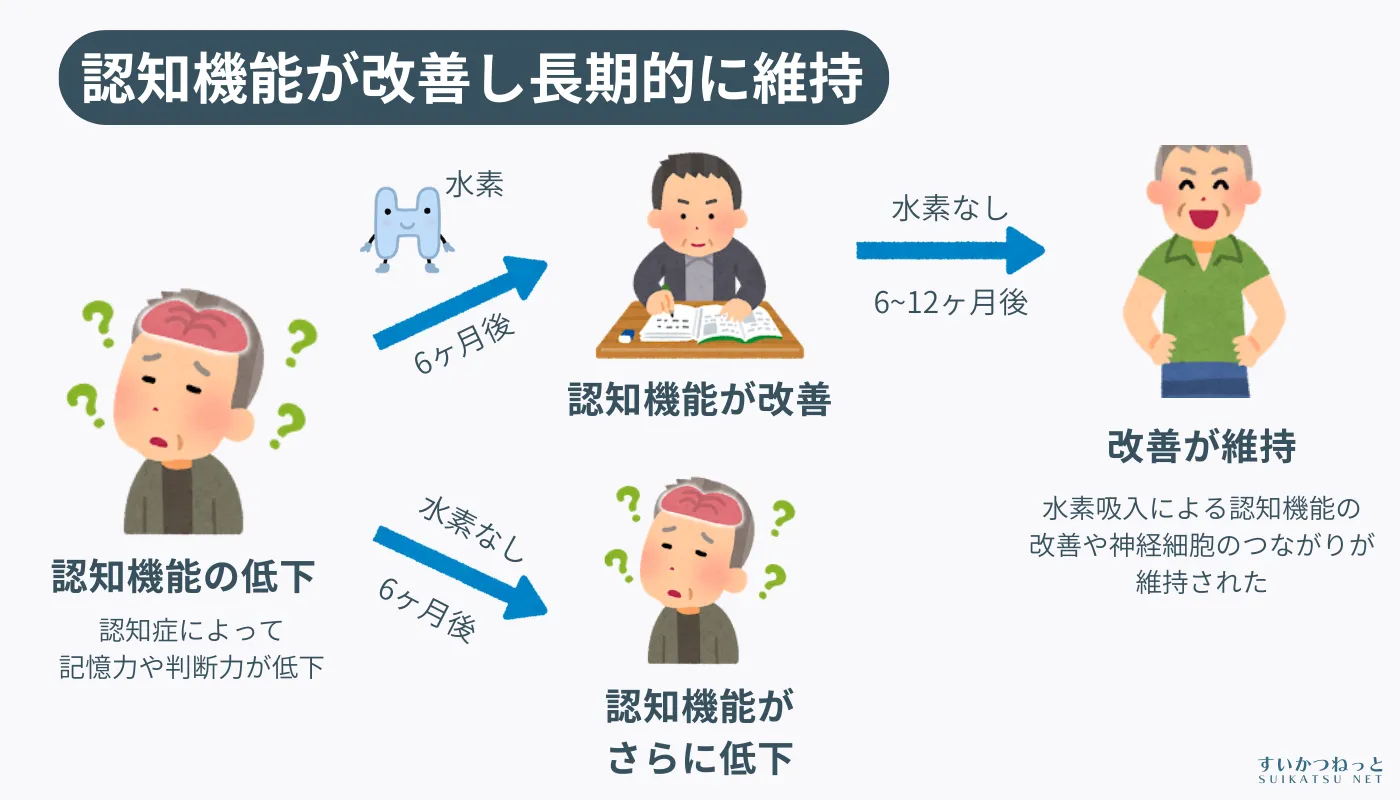 認知機能の改善が長期的に持続する|「水素健康活用研究所」イラスト解説