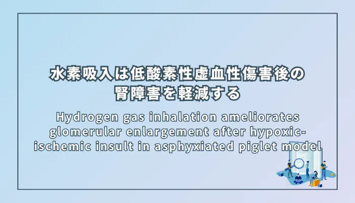 Hydrogen gas inhalation ameliorates glomerular enlargement after hypoxic-ischemic insult in asphyxiated piglet model(水素吸入は、新生児仮死モデルブタにおける低酸素性虚血性傷害後の糸球体肥大を軽減する)