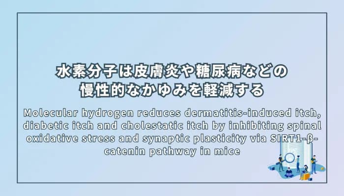 Molecular hydrogen reduces dermatitis-induced itch, diabetic itch and cholestatic itch by inhibiting spinal oxidative stress and synaptic plasticity via SIRT1-β-catenin pathway in mice(水素分子は脊髄でのSIRT1-β-カテニン経路を介した酸化ストレスとシナプス可塑性の抑制により、マウスの皮膚炎、糖尿病、胆汁うっ滞による慢性的なかゆみを軽減する)