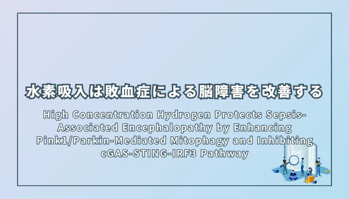 High Concentration Hydrogen Protects Sepsis-Associated Encephalopathy by Enhancing Pink1/Parkin-Mediated Mitophagy and Inhibiting cGAS-STING-IRF3 Pathway(高濃度水素は、ミトファジーを活性化し、炎症反応を抑えることで、敗血症に伴う脳機能障害を改善する)