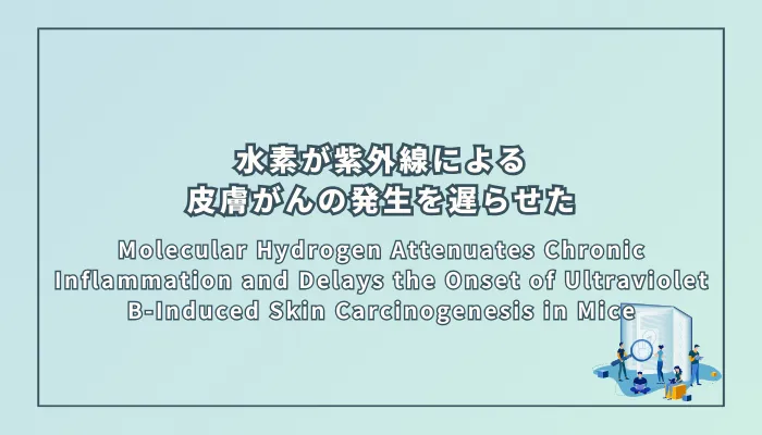 Molecular Hydrogen Attenuates Chronic Inflammation and Delays the Onset of Ultraviolet B-Induced Skin Carcinogenesis in Mice(水素分子は慢性炎症を軽減し、紫外線B波による皮膚発がんの発生をマウスで遅らせる)