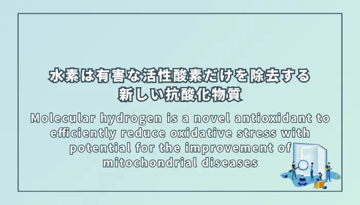 Molecular hydrogen is a novel antioxidant to efficiently reduce oxidative stress with potential for the improvement of mitochondrial diseases(水素分子は酸化ストレスを効率的に軽減する新しい抗酸化物質であり、ミトコンドリア病の改善にも期待される)
