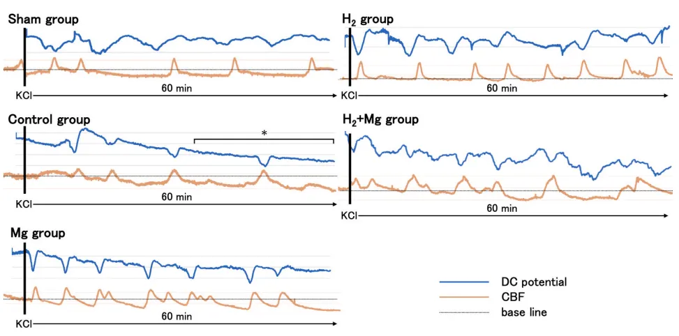 Yoshiura et al., 2025, Fig.3
